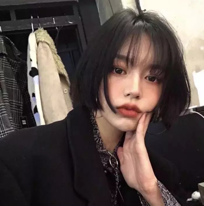 龙之家族